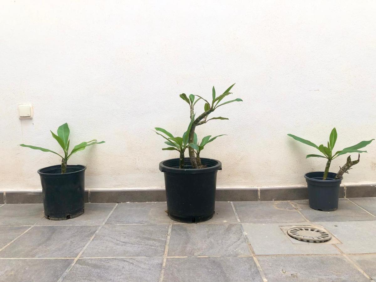 Varela Apartamentos B 말라가 외부 사진