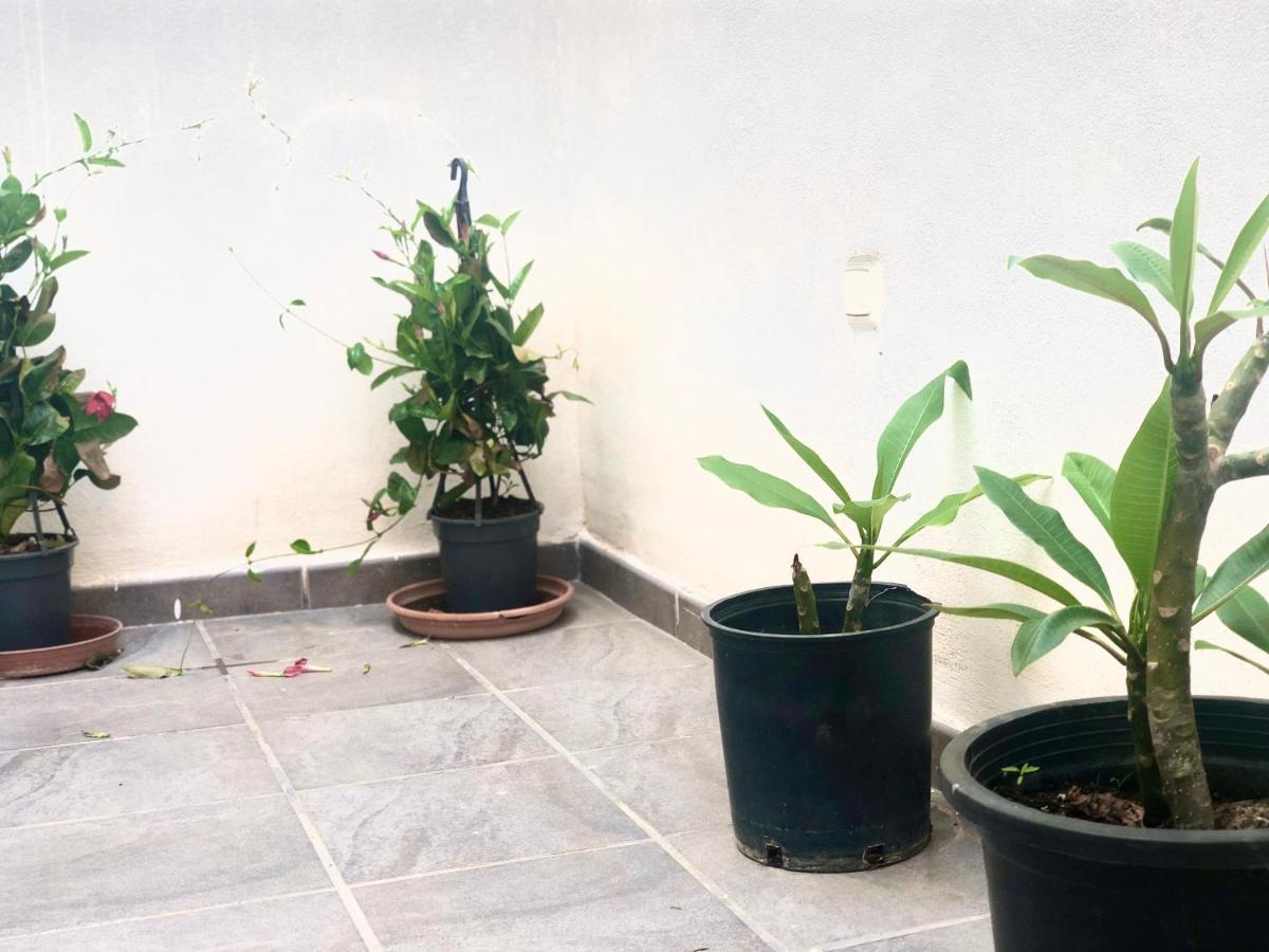 Varela Apartamentos B 말라가 외부 사진